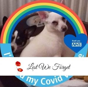 Meet your Posher, Margaret